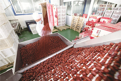 爬坡過坎 脫貧致富換新顏